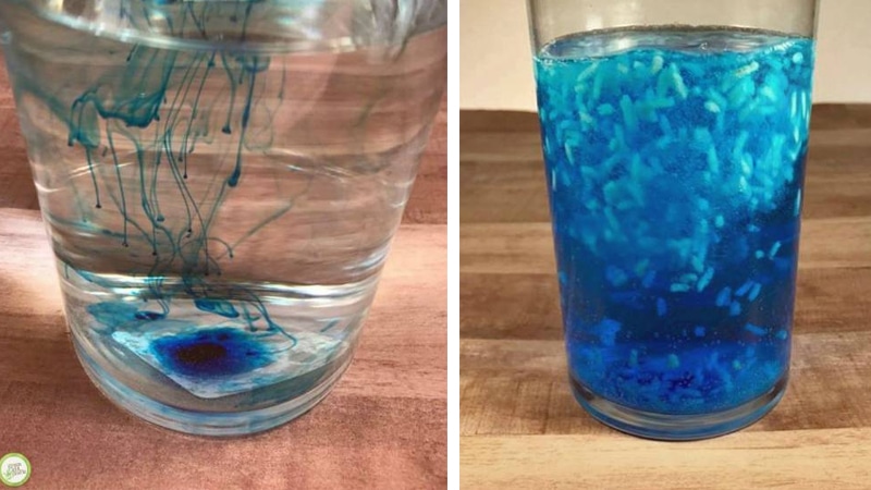 A cool kids science experiment using rice crazy dancing rice