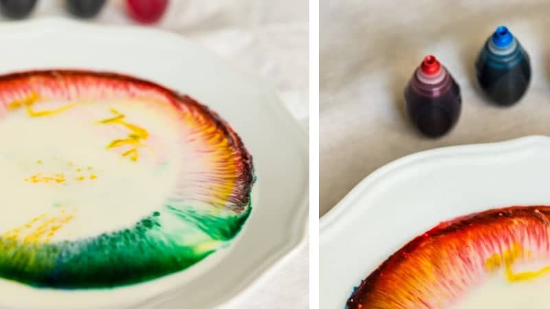 Colorful explosion using milk and food coloring rainbow milk