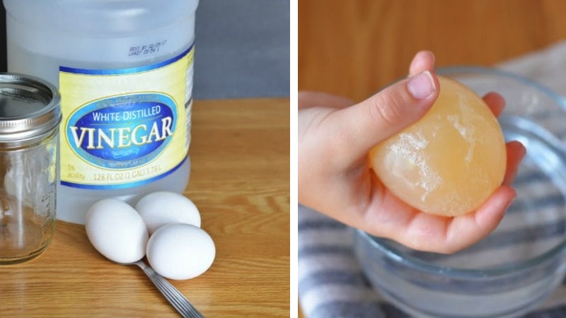 Learn how to make an egg shell disappear vanishing egg shell