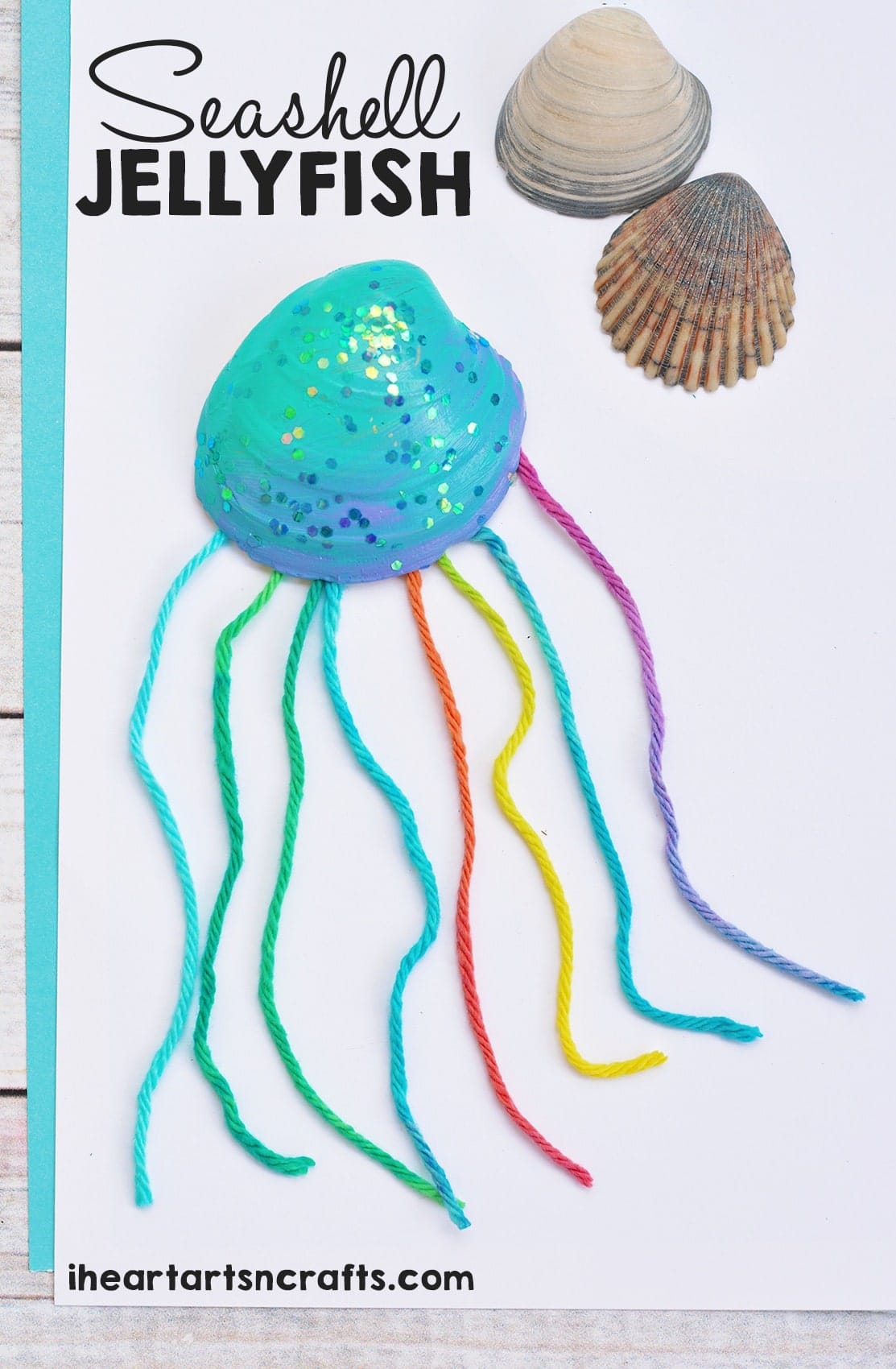 Harmless Seashell Jellyfish