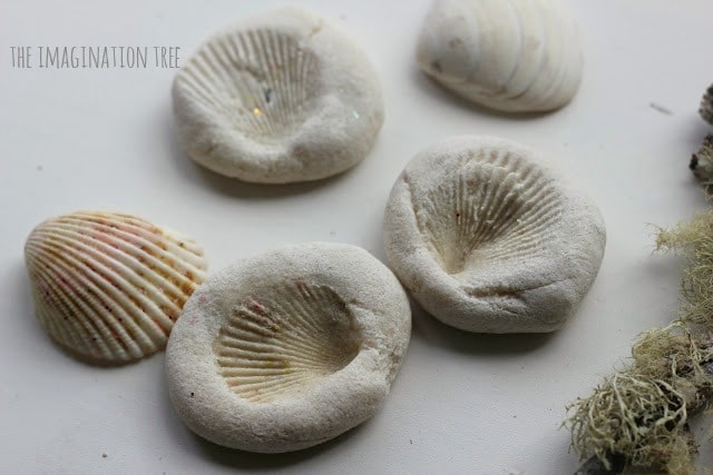 Salt Dough Fossils