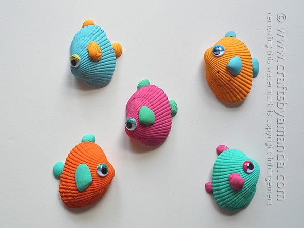 Fishy Seashell Craft
