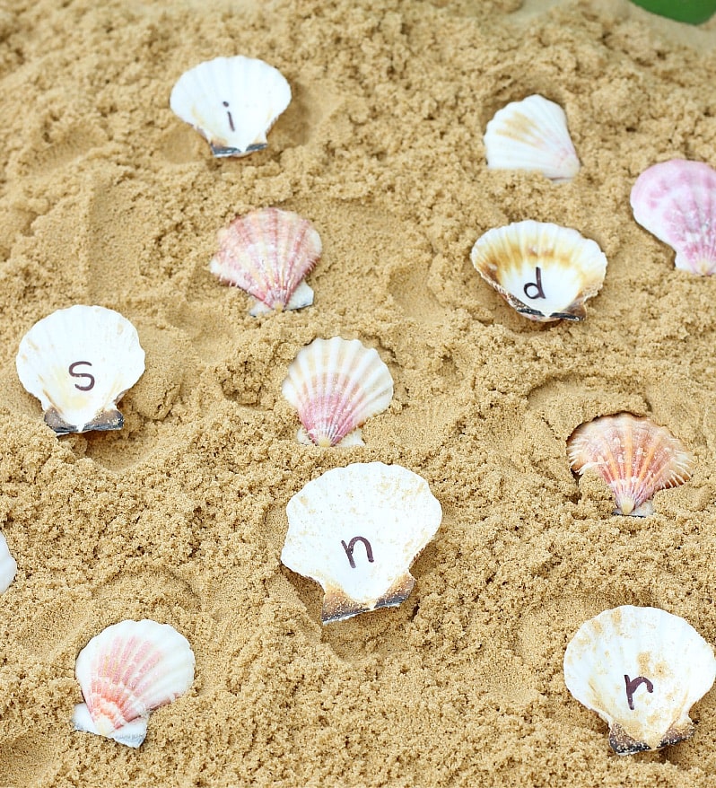 Seashell ABCs