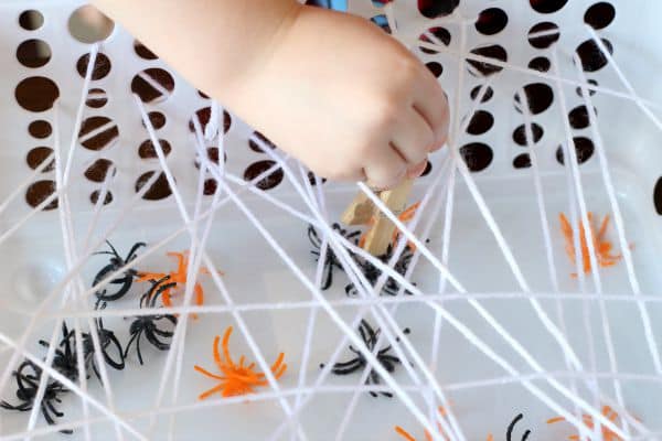 Catch And Count Spider Activity
