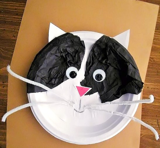 Cute Cat Craft