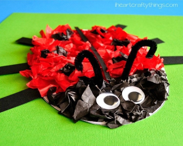 Ladybug Tissue Paper Craft