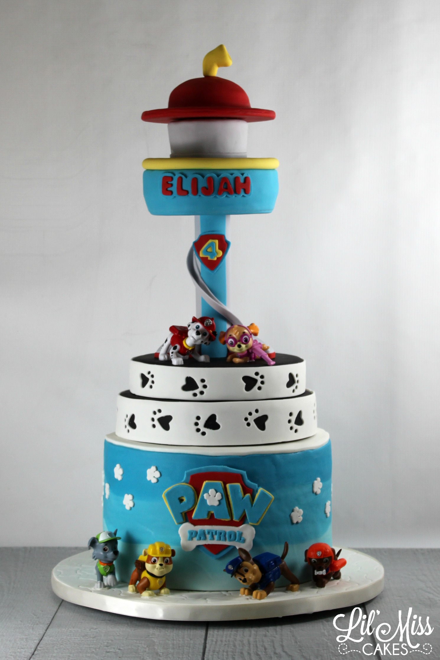 Paw Patrol Lookout Cake